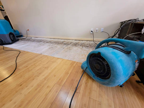 Professional Burst Pipe Water Damage technician working in Vernon, WI